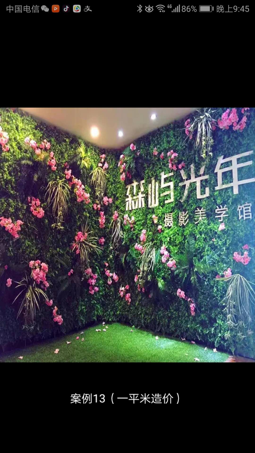 仿真植物墙安装植物墙价格多少（查看）图片