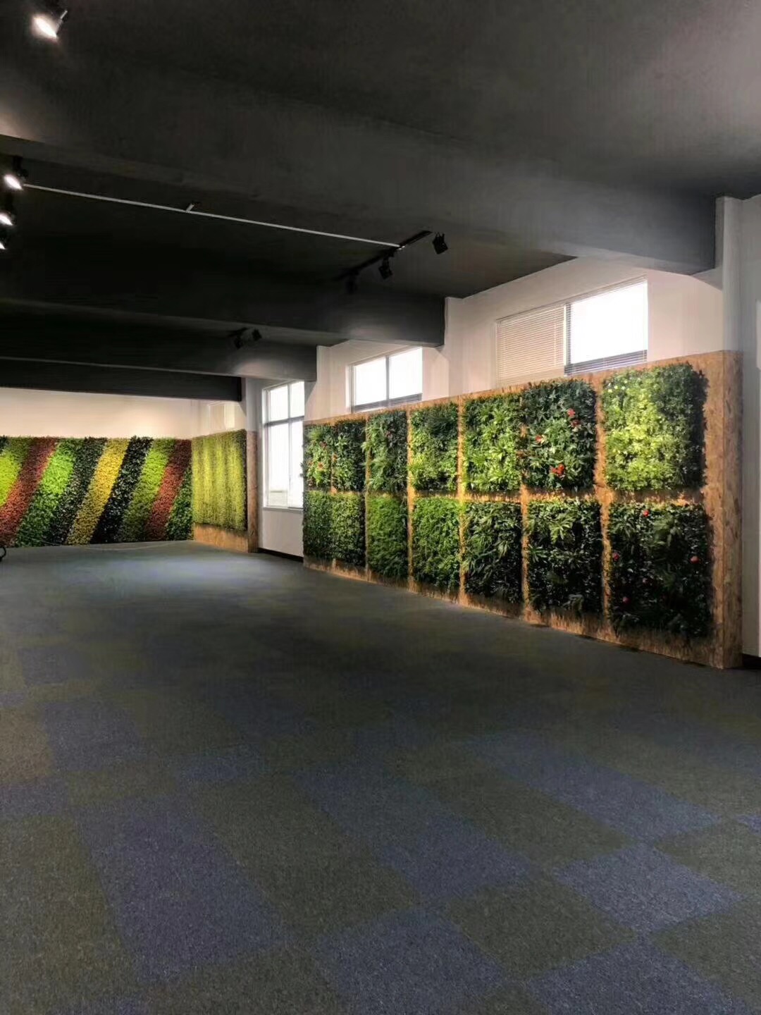 垂直绿化植物墙垂直绿化植物墙雄安保定昊帅专业安装