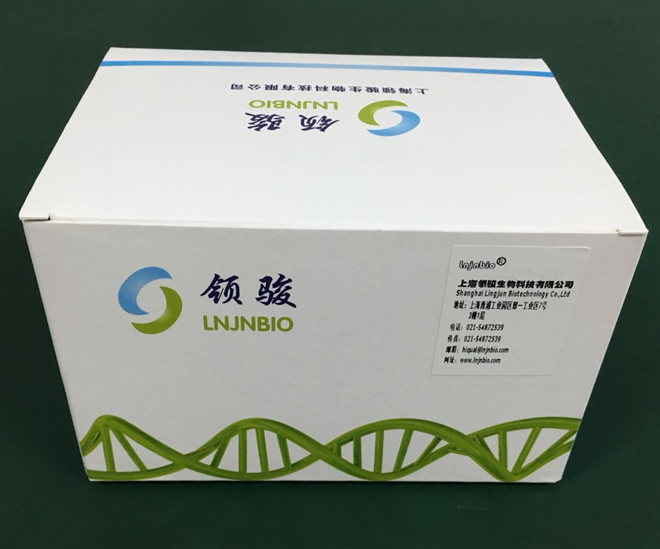 全血基因组DNA提取试剂盒 （裂解结合一步法、磁珠法）