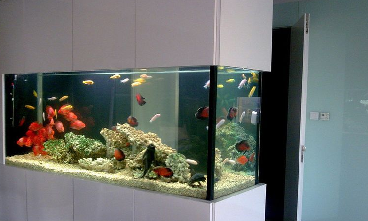 广州鱼缸设计、越秀区珊瑚鱼缸、东风鱼缸造景
