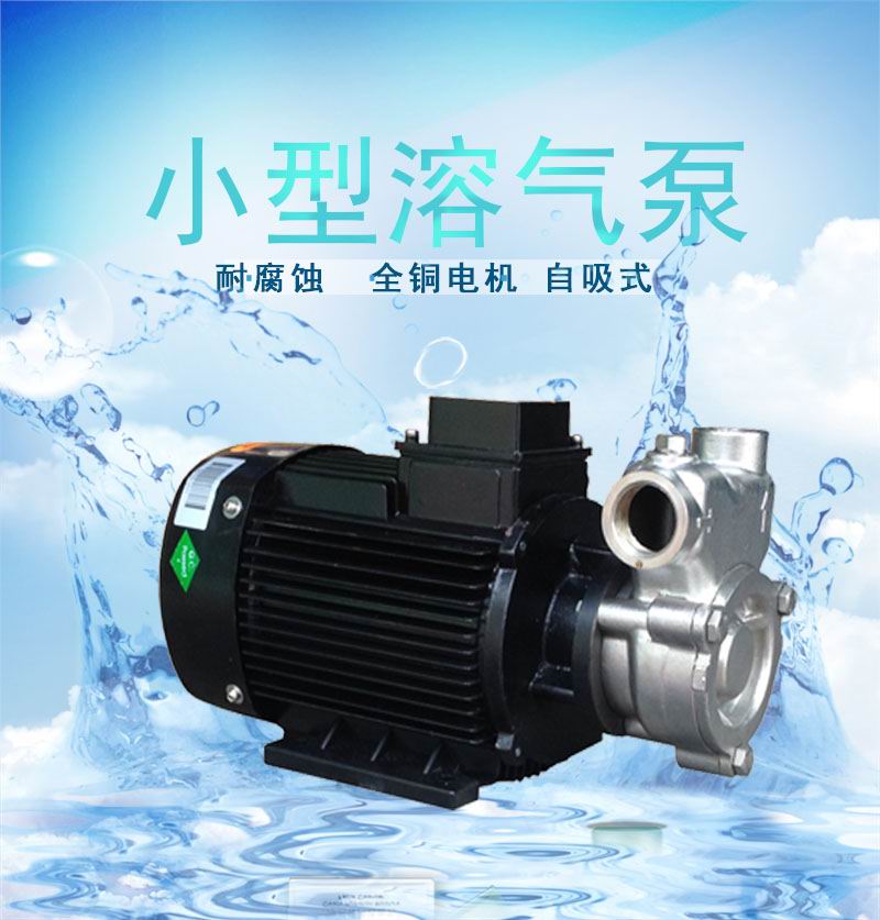 20QY-1/6SS小型污水处理设备配套溶气泵不锈钢自吸式气液混合泵