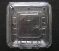一次性pet蓝莓透明气孔塑料盒  山东一次性pet蓝莓透明气孔塑料盒厂家批发价格图片