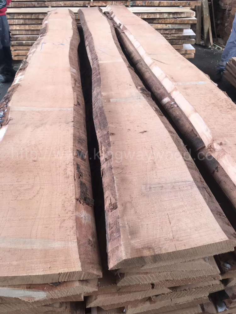 香港岛金威木业欧洲榉木 实木板 毛边板厂家
