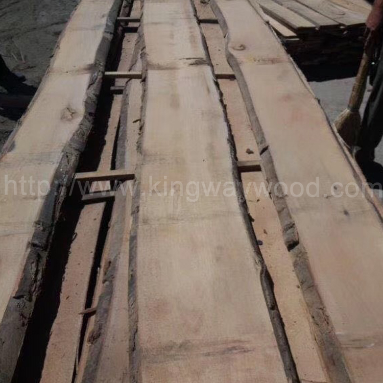 金威木业进口材 欧洲榉木 毛边板批发