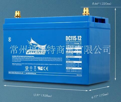 DC115-12免维护电池