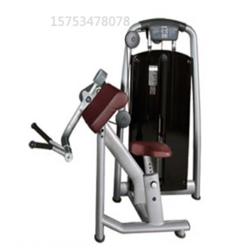 室内运动器械,商用健身器材力量器械,健身房健身器材坐式二头肌训练器
