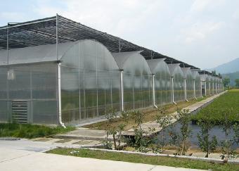 潍坊市智能玻璃温室价格厂家智能玻璃温室价格-智能玻璃温室厂家-智能玻璃温室报价