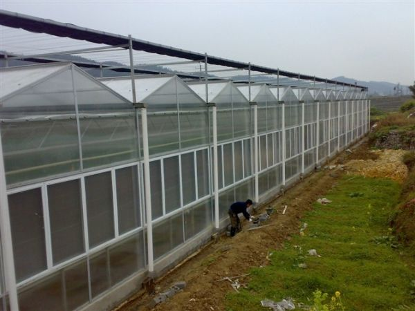 山西便宜的阳光板温室生产供应 阳光板温室大棚图片