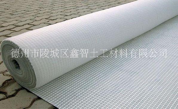 上海土工布厂家直销批发供应报价 鑫智土工材料图片