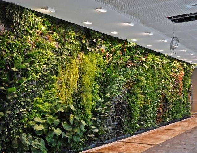 室内植物墙 仿真植物墙 植物墙造