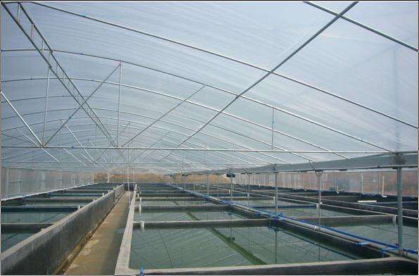 水产养殖温室 养殖温室 农业温室 大跨度温室图片