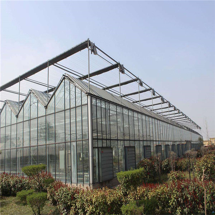 钢结构玻璃大棚造价 温室生态园批发
