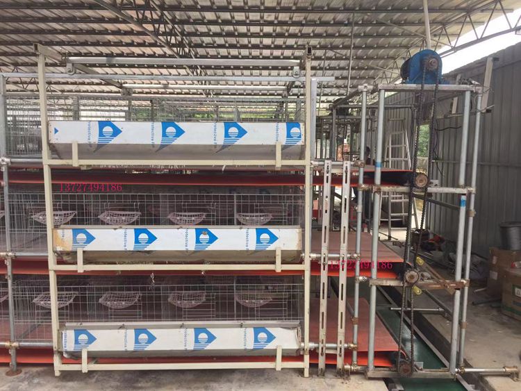 白鸽笼图片 三层白鸽笼产品 正谷鸽子笼生产厂家 定制各种宠物笼具尺寸图片