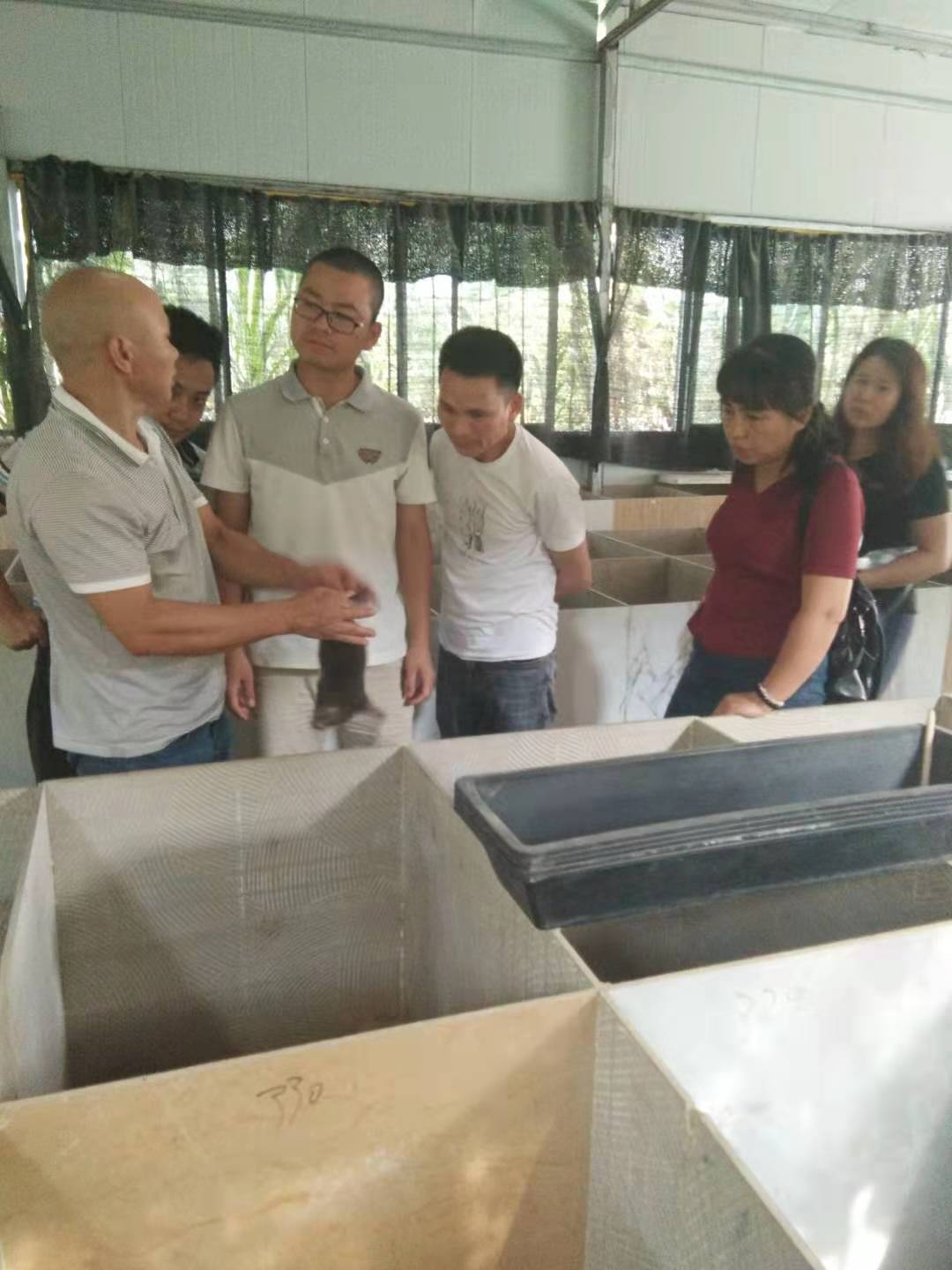 桂林市2020年广西竹鼠养殖加盟厂家