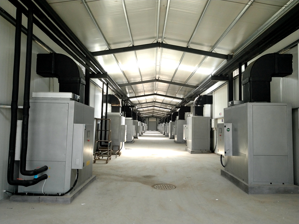 空调食用菌大棚承建常年承建食用菌批发
