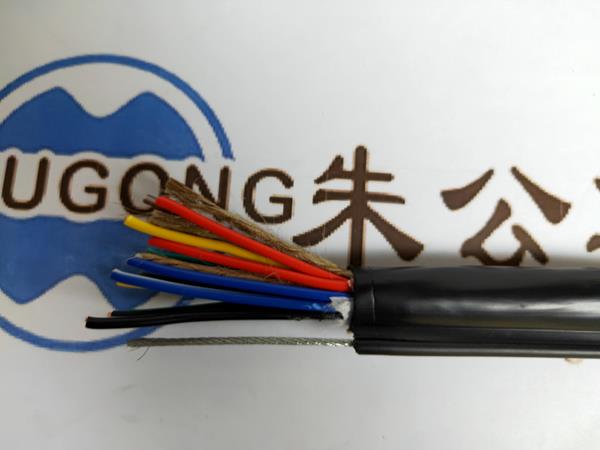朱公吊机专用电缆RVVG图片