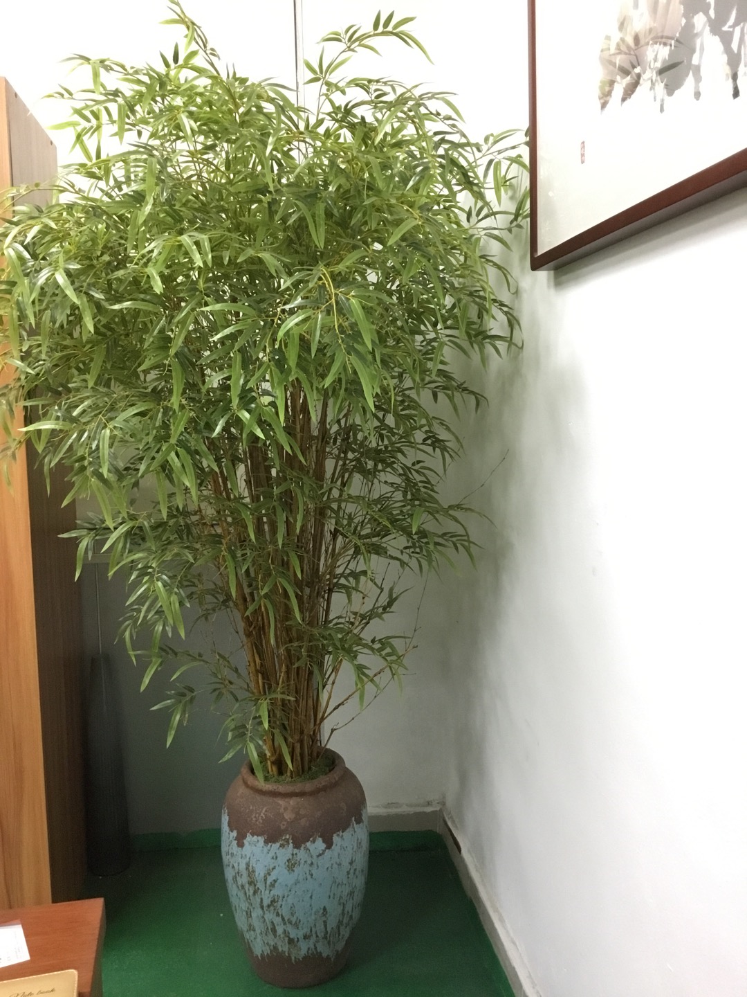 广东仿生加密型金丝竹价格，惠州金丝楠竹盆景批发图片