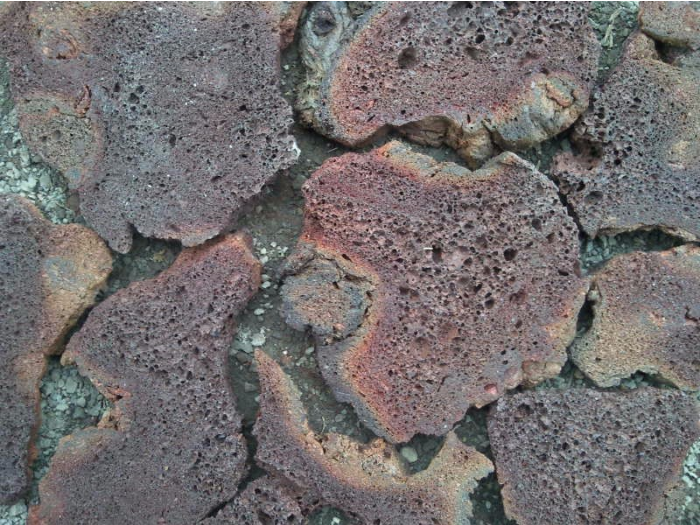 供应火山岩 文化石 天然火山石图片