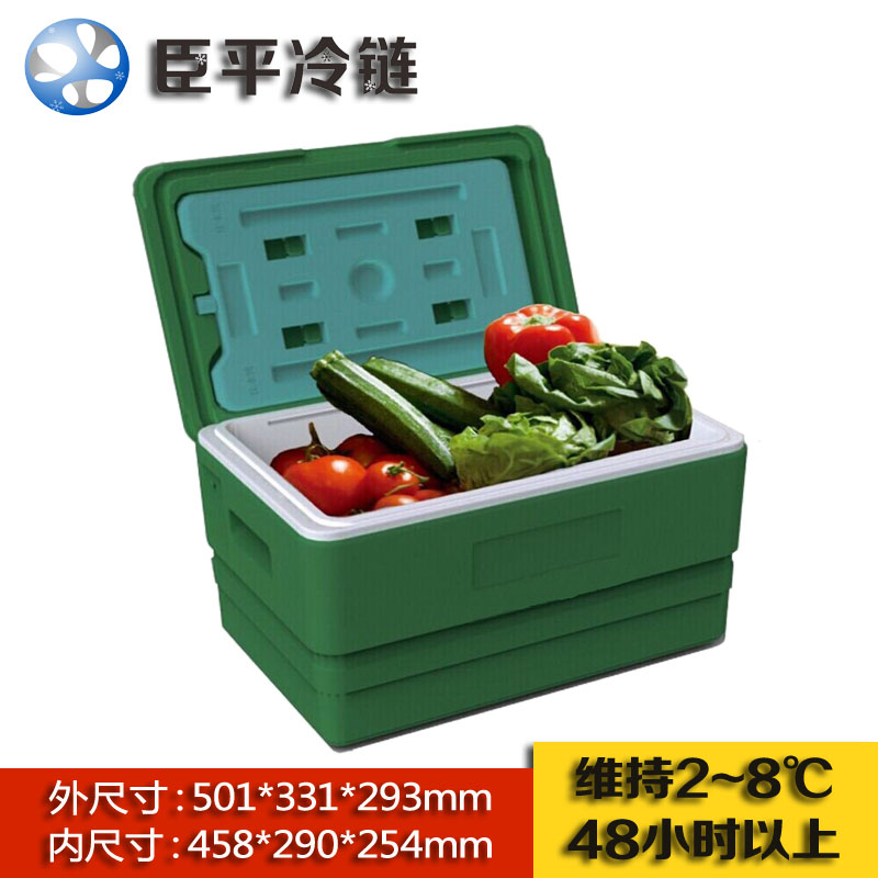 臣平厂家直销冷藏箱CPY033有机蔬菜配送箱33L白色图片