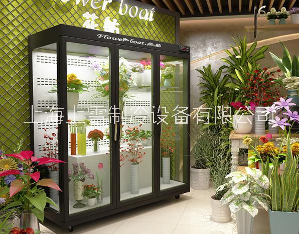 上海市批发风冷鲜花展示柜厂家批发风冷鲜花展示柜 玻璃拉门鲜花柜 鲜花保鲜冰柜厂家