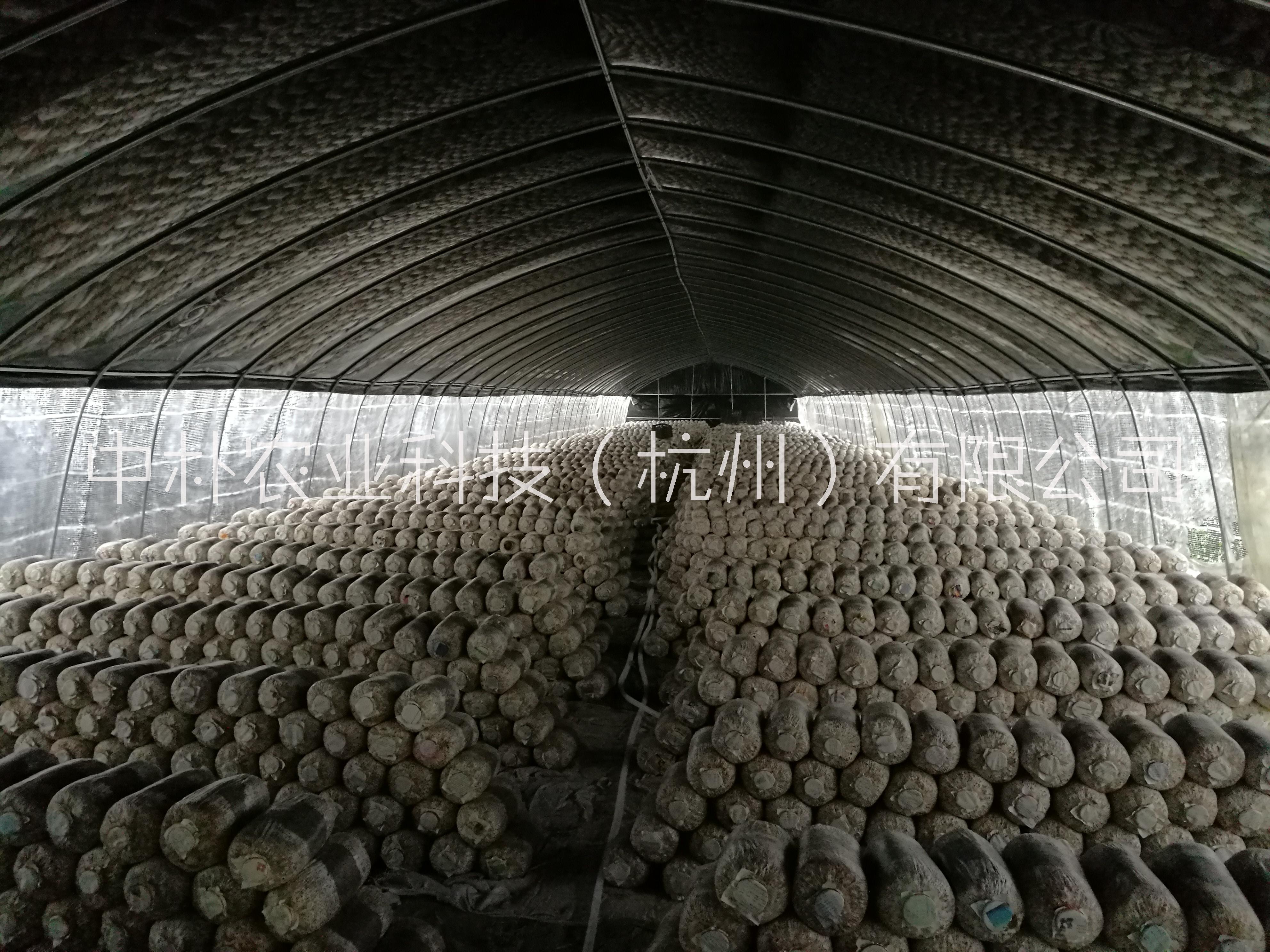 杭州市防晒膜 黑白降温膜 农用黑白膜厂家