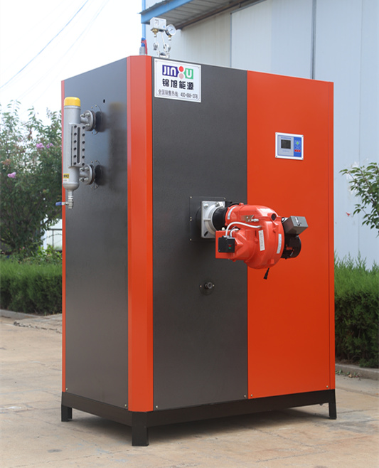新型300公斤燃气蒸汽发生器环保蒸汽锅炉支持定制图片
