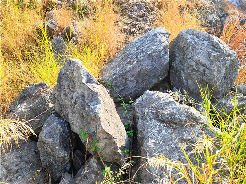 江西黑山石 庭院黑山石 黑山石案例 黑山石造景图片