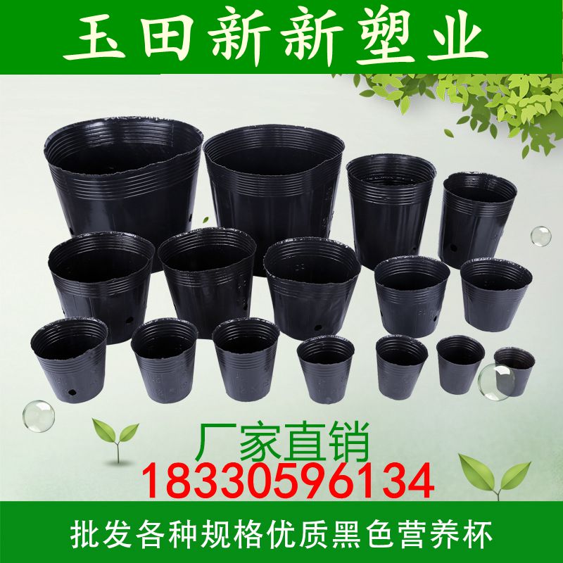 河北唐山花卉营养杯厂家，厂家直销，批发，价格，哪里有卖？