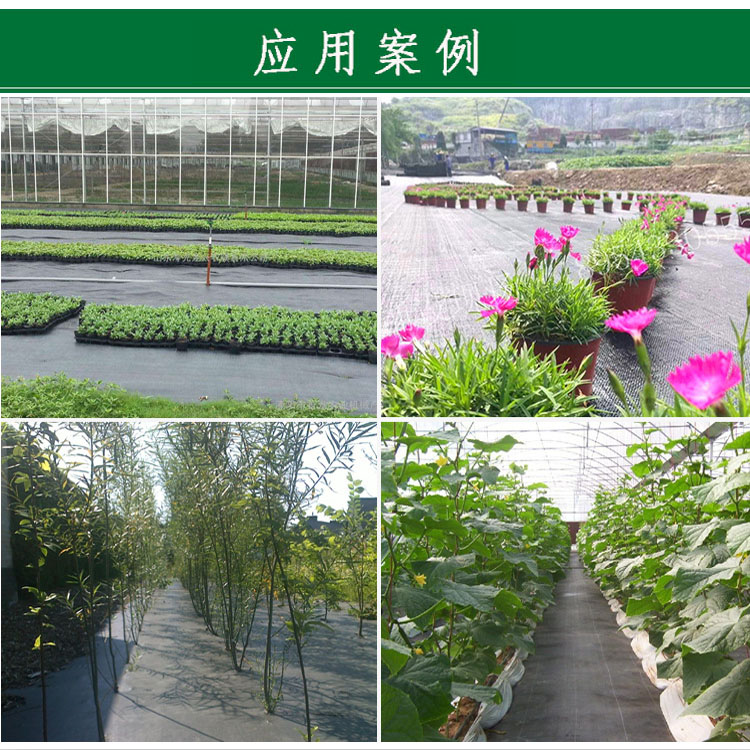 防草地布 园艺地布 盖草布 除草加厚防草地布  园艺地布   加厚防草地布园艺地布 生态 除草 防草地布 园艺地布 盖草布 除草