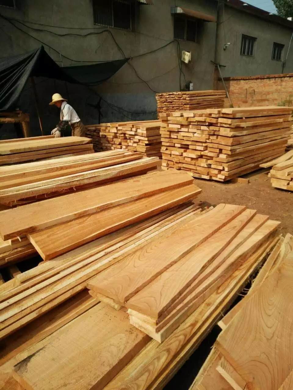 白椿木板材厂家 河南板材生产厂家 白椿木板材