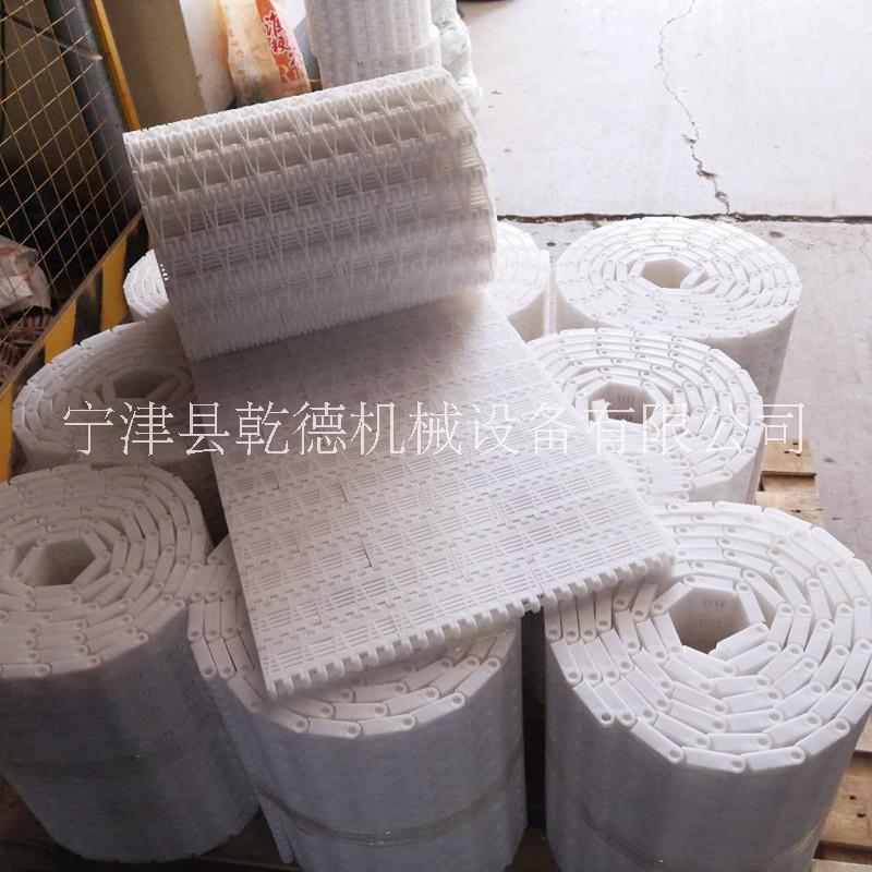 广东塑料输送链板厂家食品输送PP塑料链板规格齐全