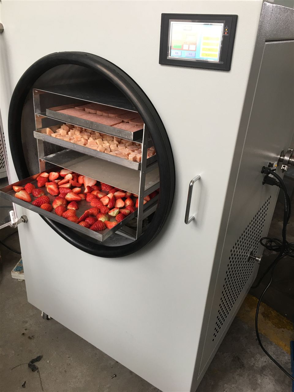 果蔬冻干机，草莓冻干机厂家价格图片