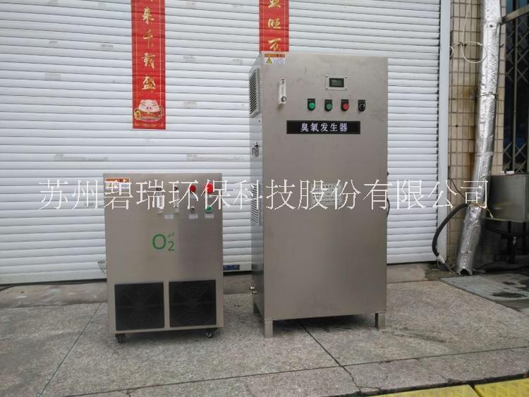 苏州市上海电解法臭氧发生器厂家碧瑞环保厂家上海电解法臭氧发生器厂家碧瑞环保