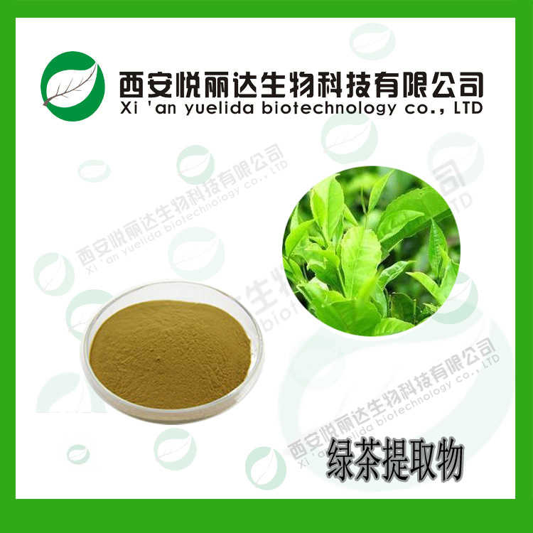 绿茶提取物 茶叶浓缩浸膏粉速溶粉 生产厂家图片