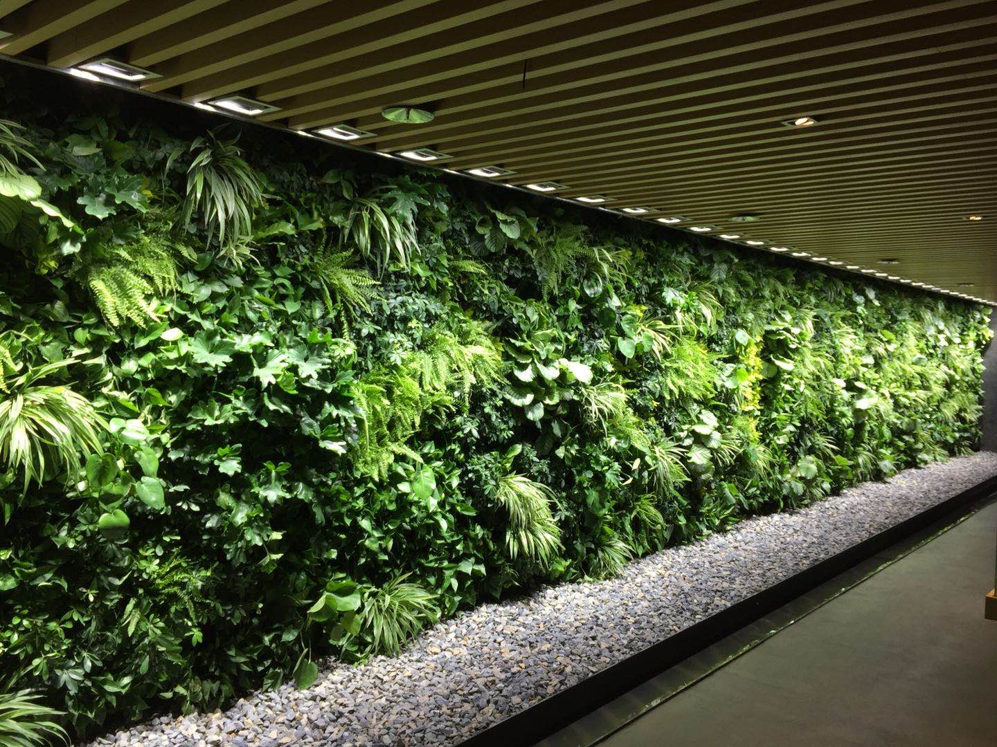 北京原生态植物背景墙批发