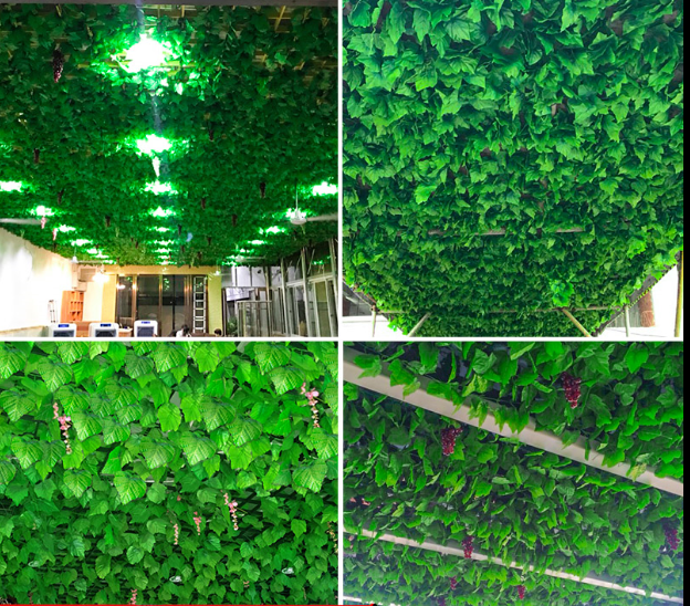 仿真植物墙垂吊绿植装饰图片