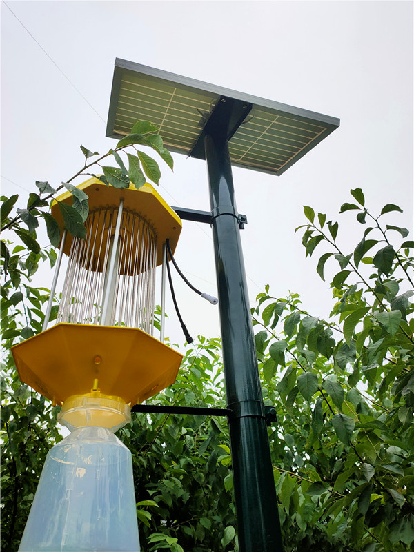 成都市太阳能杀虫灯厂家成都太阳能杀虫灯厂家直销 防水光控加时控