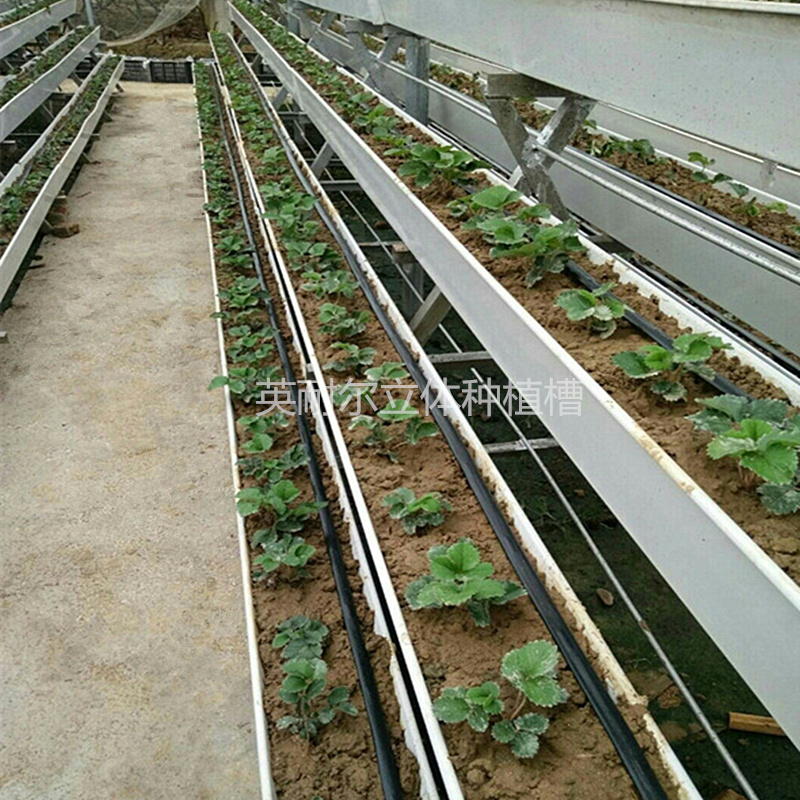 草莓种植槽 大棚草莓立体种植槽 立体栽培架 水培种植槽