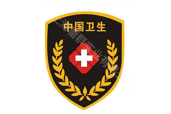 卫生应急服装 统一标识臂章徽章胸标队旗