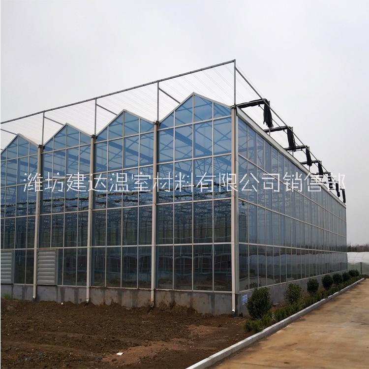 建达JD 玻璃温室大棚厂家 蔬菜玻璃大棚 热镀锌钢骨架图片