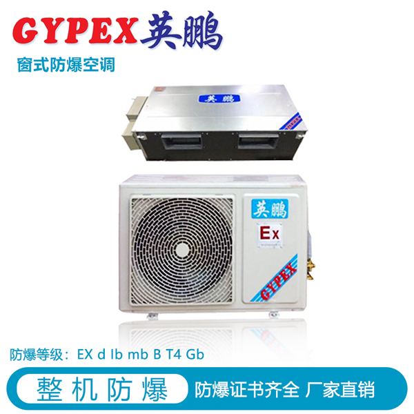 英鹏GYPEX风管式防腐空调图片