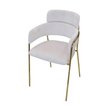 甲壳虫餐椅西餐厅现代简约轻奢风格镀金不锈钢餐椅