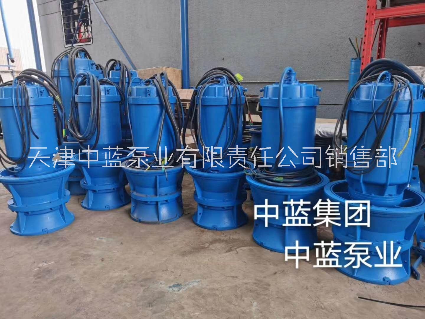 QZB-天津专业生产潜水轴流泵厂家