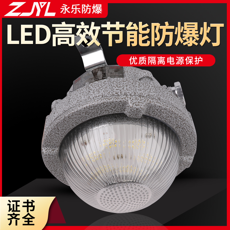 LED纯隔爆防爆灯30W实图 LED高效节能防爆灯批发