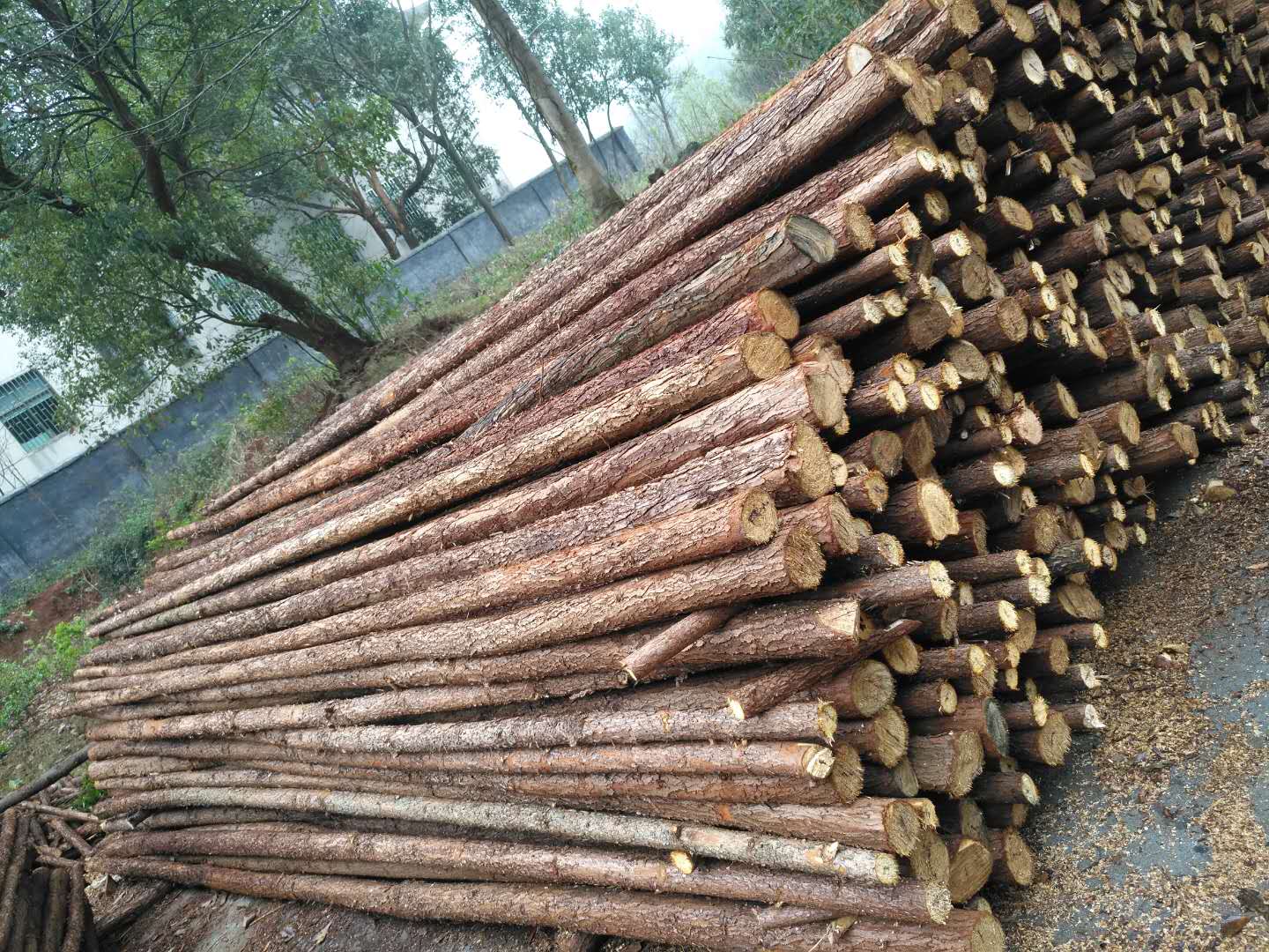 东莞市绿化杆 杉木杆  园林支撑防护杆厂家