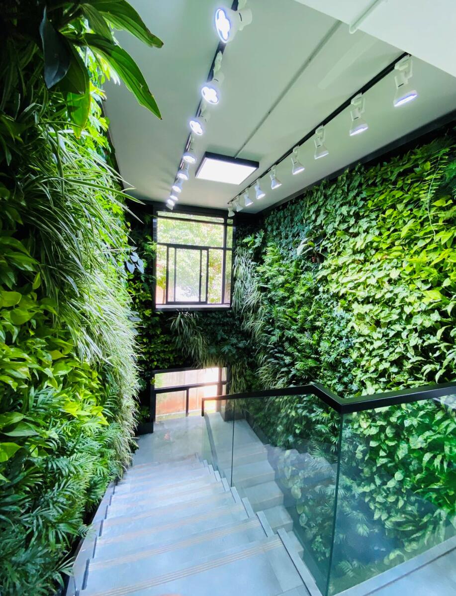 室内植物墙式植物墙 植物墙设计公司种植盆（槽）报价厂家【春明园林】 室内植物墙