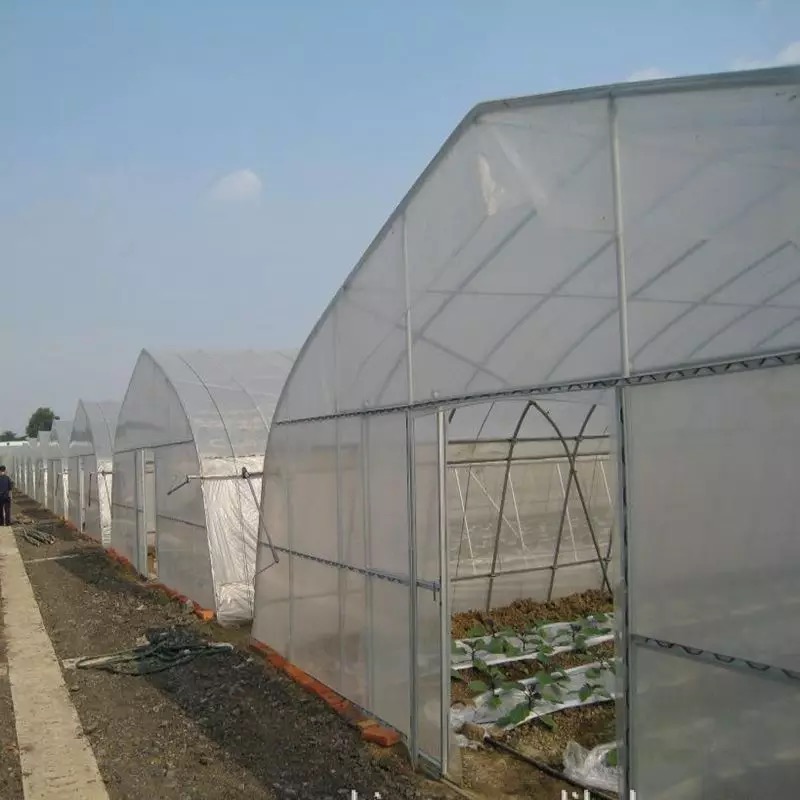 温室种植大棚江苏 温室种植大棚工程建议，定制薄膜连栋温室大棚价格