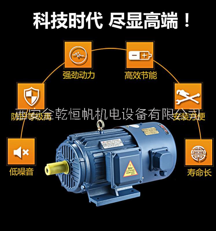 厂家直销 西安西玛小型电机 YE2-80M2-1 0.75KW 380V IP55 F级图片