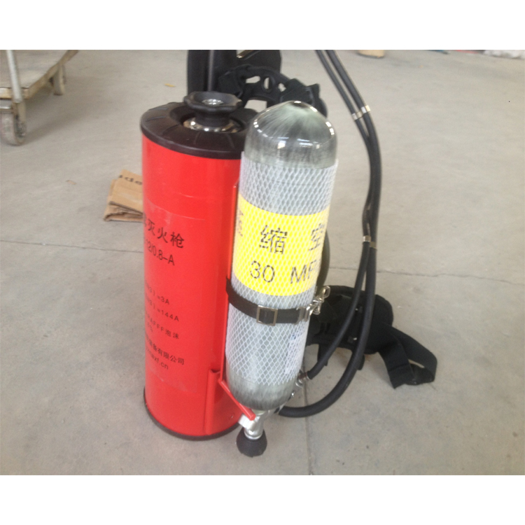 消防PYQ-10型背负式压缩气体泡沫灭火装置 灭火器 细水灭火器图片