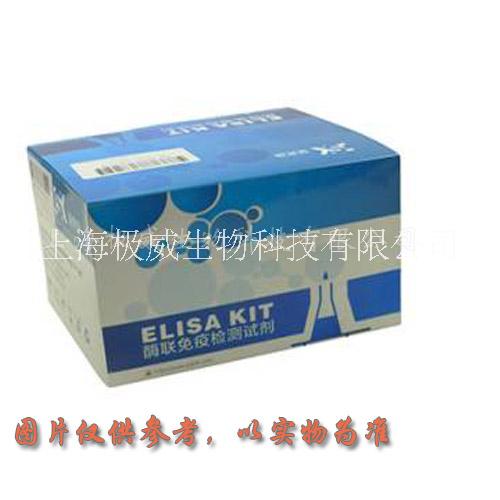 上海市人肾素(REN)elisa试剂盒厂家人肾素(REN)elisa试剂盒@专业代测